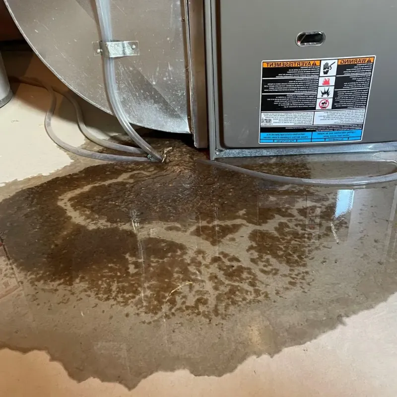 Pipe Burst and Leak Restoration in Barry County, MO