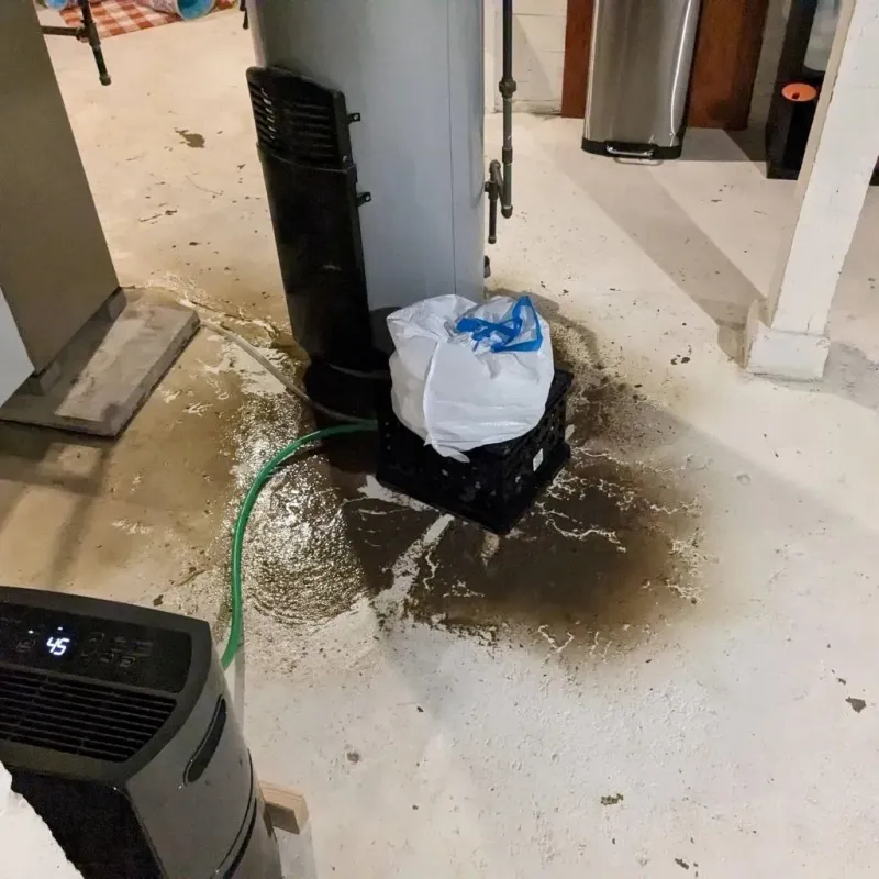Sewage Backup Cleanup Service in Barry County, MO
